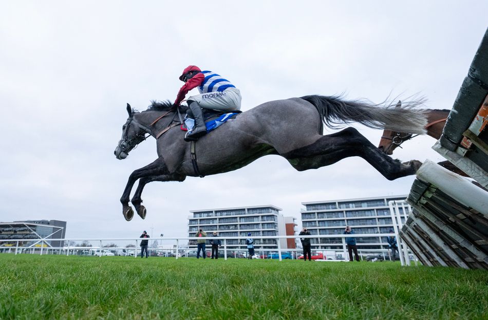 'The Albert Bartlett would have suited better' - No Drama This End could step up in trip after Turners flop