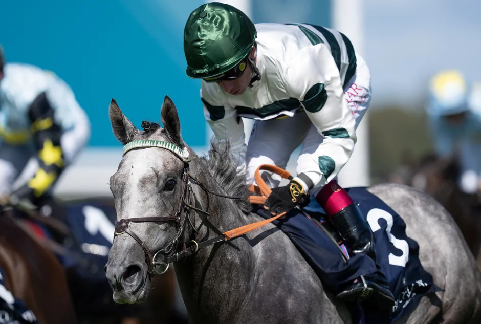 'People probably thought it was a bit mad' - Katie Scott dreaming big after scoring with first Goodwood runner