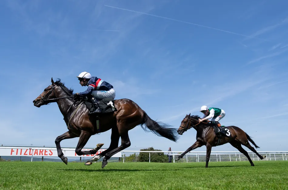 ‘When the money is on offer, we like to have a go’ - syndicate juvenile to be aimed at massive £320,000 sales-race double