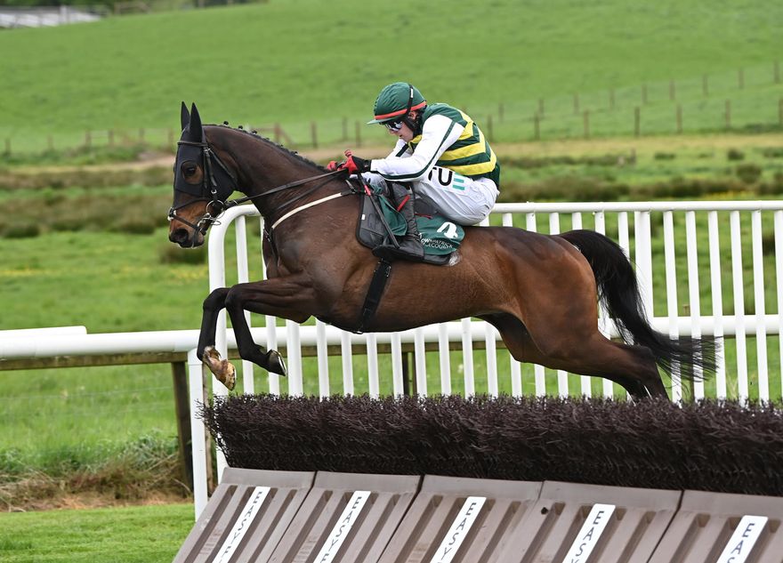 Smart Flat and National Hunt performers headline Tattersalls Online July Sale catalogue