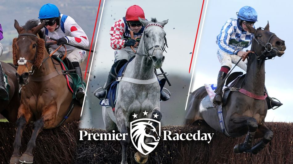 Can Il Ridoto avenge narrow December Gold Cup defeat in open £100,000 ...