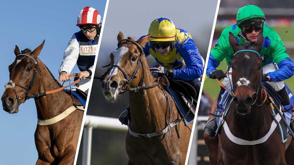 'To say we're afraid is a bit of an overstatement' - bookmakers reveal ...