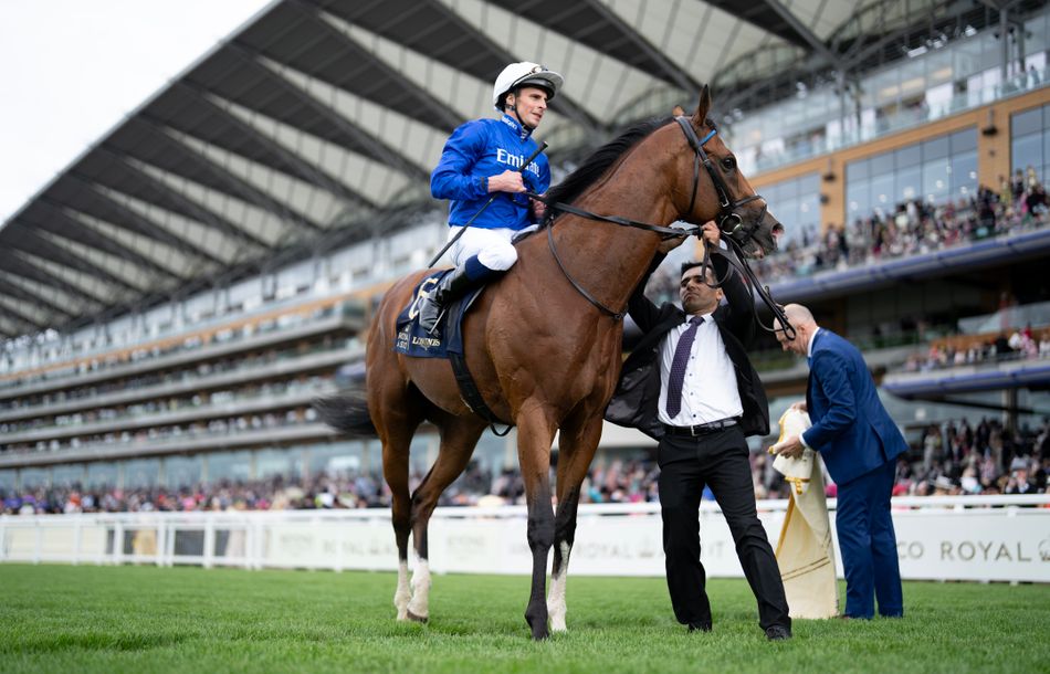 Ombudsman rated best horse in the world by BHA handicapper after Ascot romp as Thady Gosden says 'you would not know he's had a race'