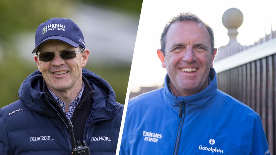The hottest maiden of the year? Coolmore and Godolphin set to clash in July festival contest Constitution River and Field Of Gold were unleashed in