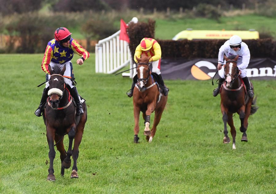 Ireland Point To Point Races Emphatic recent winner the latest top talent to emerge from Ireland's ...
