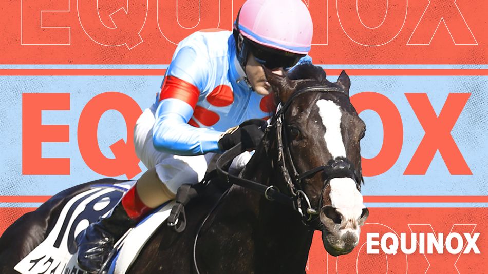 'He's one of the most exciting horses of the night' analysis and