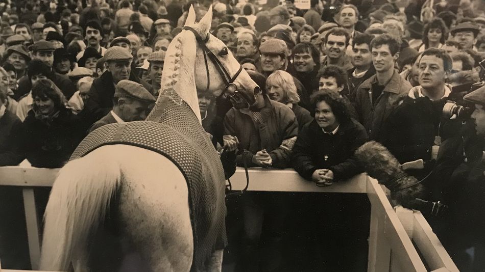 What did the 1980s do for racing fans? Quite a lot, actually | Racing Post