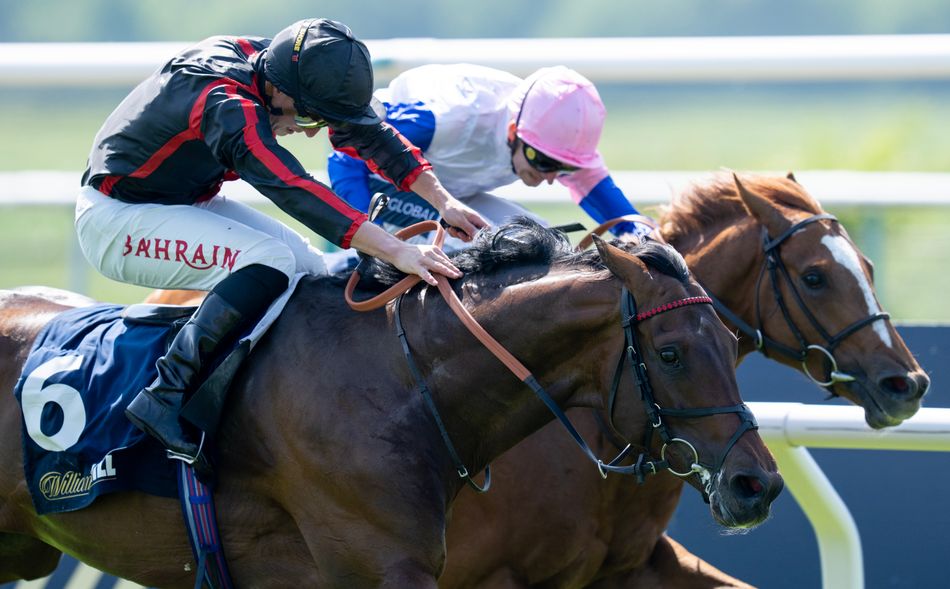 'He's done very little wrong' - Derby runner-up Maltese Cross bids to kick-start fascinating week for William Haggas