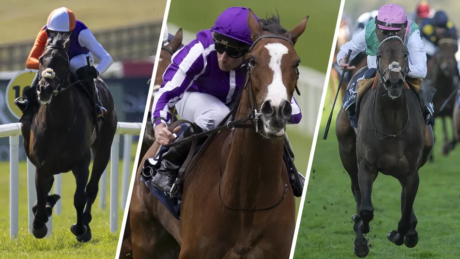 'We're looking forward to getting her back on track' - Minnie Hauk bids to defend Yorkshire Oaks crown in red-hot running