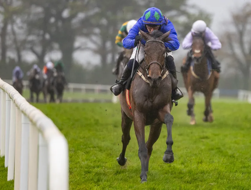 Sharkeyboy makes perfect hurdling debut to earn 33-1 quote for the Triumph