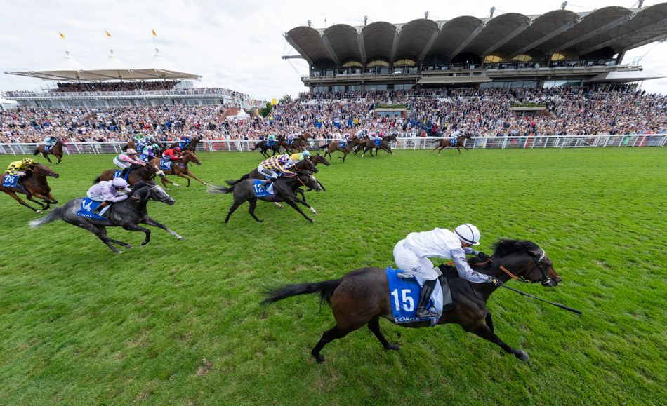 Confirmed runners and riders for the Stewards' Cup at Glorious Goodwood on Saturday - with draw to take place at midday