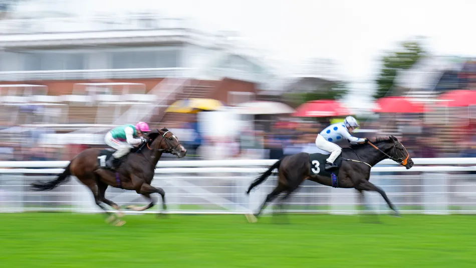 1-33 Juddmonte colt becomes shortest-priced loser in British racing history