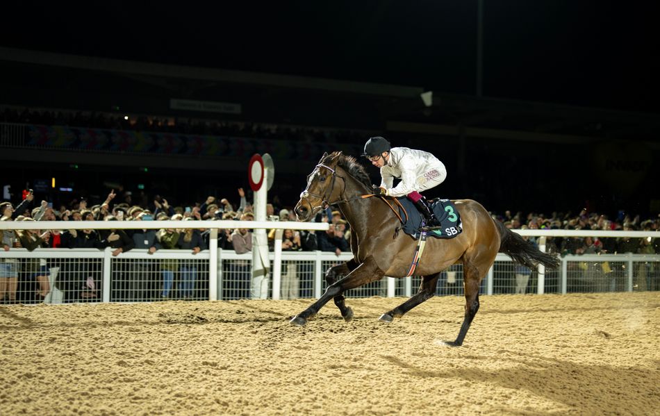 Constitution Hill entered for Windsor Listed race on Saturday - and his rivals could include a Group 1 winner on his first start since 300,000gns sale