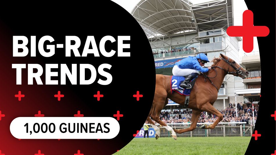 Big-race trends: key stats to help you find the winner of the 1,000 ...