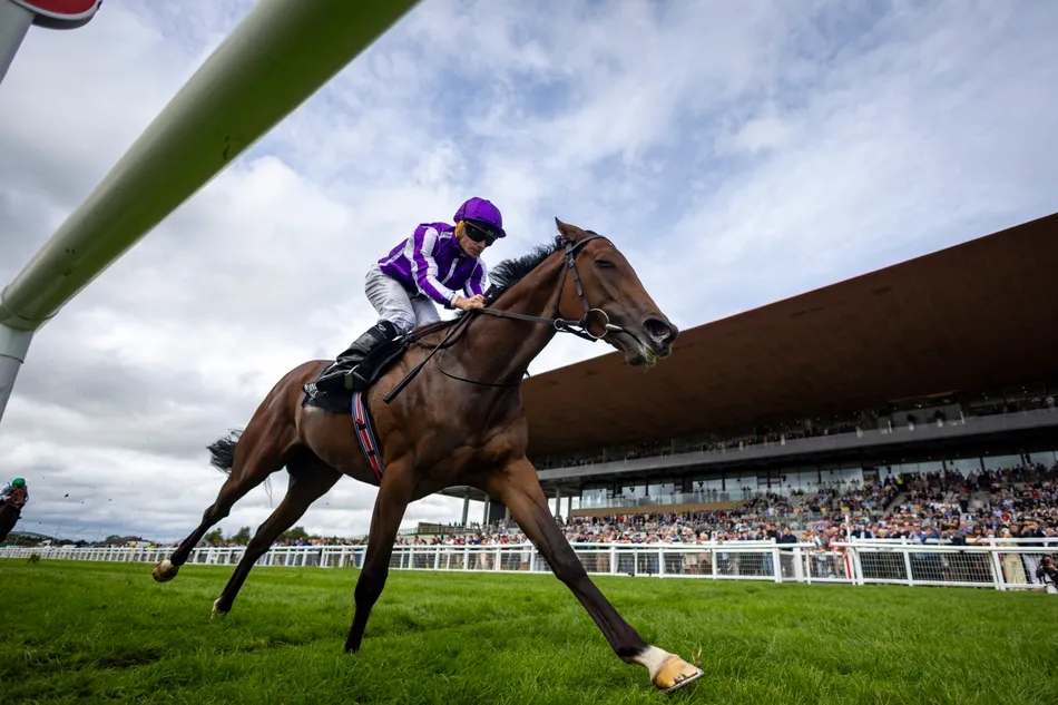 'She looks a freak - everything she has done has been freakish' - O'Brien excited as Sun Goddess defies stable form concerns to impress in Moyglare