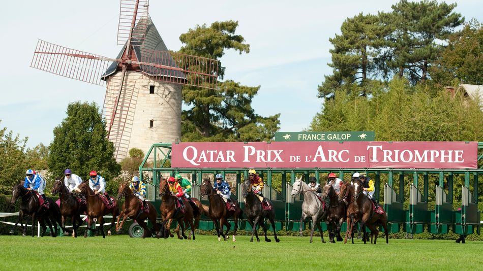Here are the big winners and losers from the Arc draw - and it's a shocker for two of Japan's leading hopes