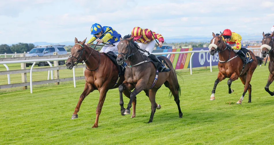 From rearing up to holding on: 'quirky' Caturra Lights defies misbehaving in the stalls with narrow victory