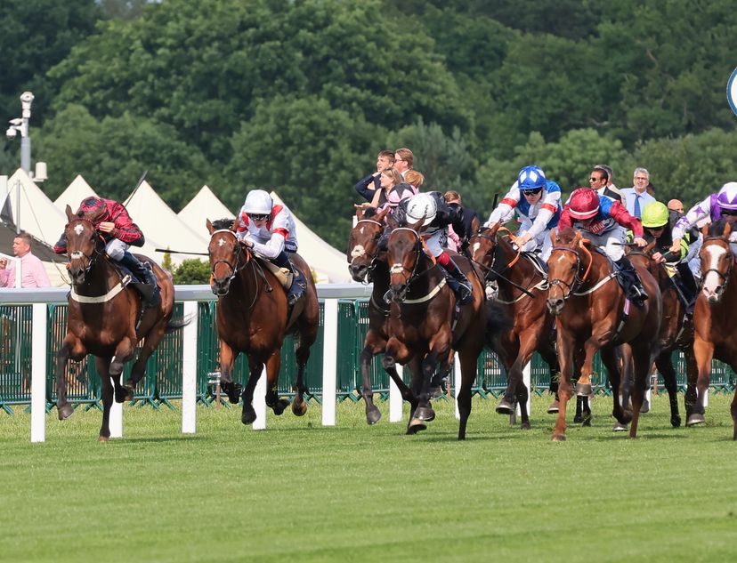'We could see good to firm by Thursday' Royal Ascot going expected to