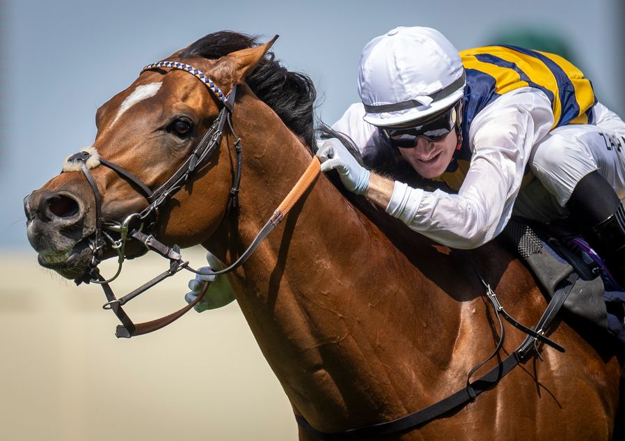 Full car park points to busy days ahead at the Tattersalls Ireland September Yearling Sale