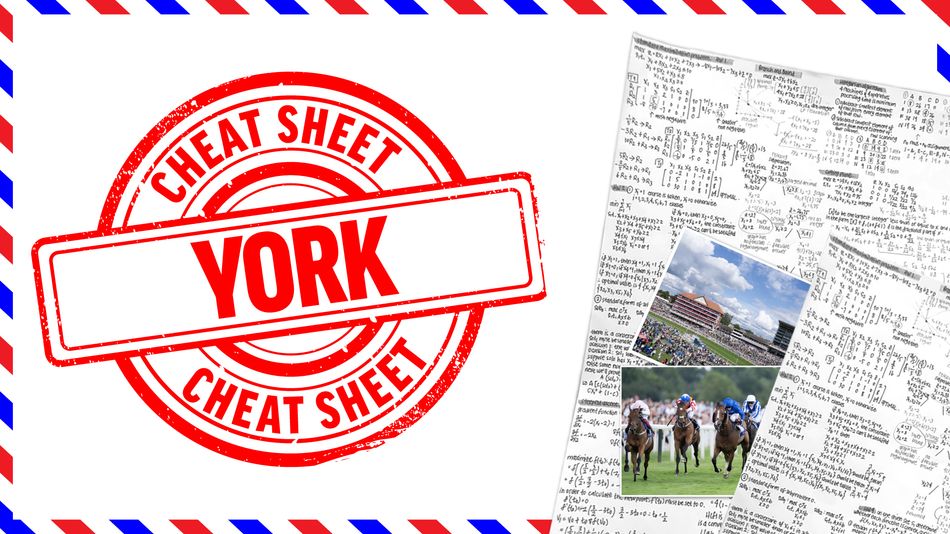 Cheat sheet: all the key quotes, previews and analysis you need for the final day of York's Ebor meeting