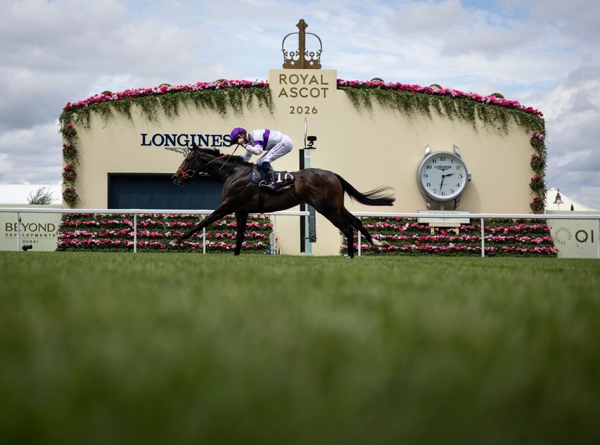 Hunt Cup throws up York and Goodwood clues, a handicap loophole is exploited and a gap in the programme - what we learned at Royal Ascot