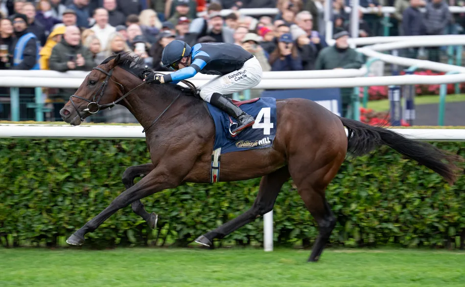 The clues were there regarding big-priced Futurity Trophy winner Giant Sequoia - and he should be a single-figure price for the Derby
