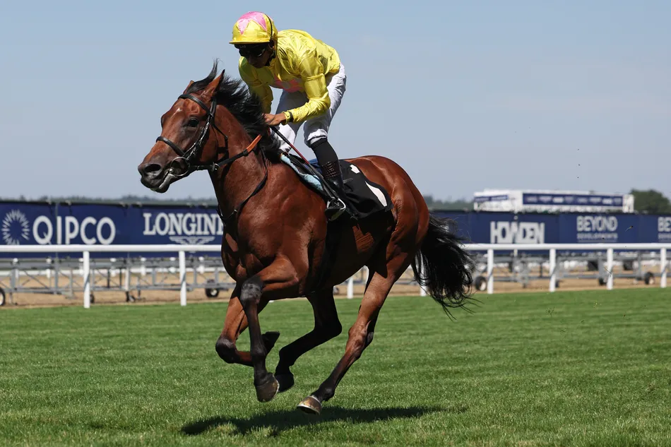 'It's massive for the yard' - Oliver Cole sends unbeaten juvenile into €400,000 Sunday Group 1 at the Curragh
