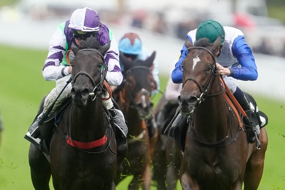 ‘Am I looking at the Oaks?’ - Classic dream alive again for owner-breeder Jennifer Dorey