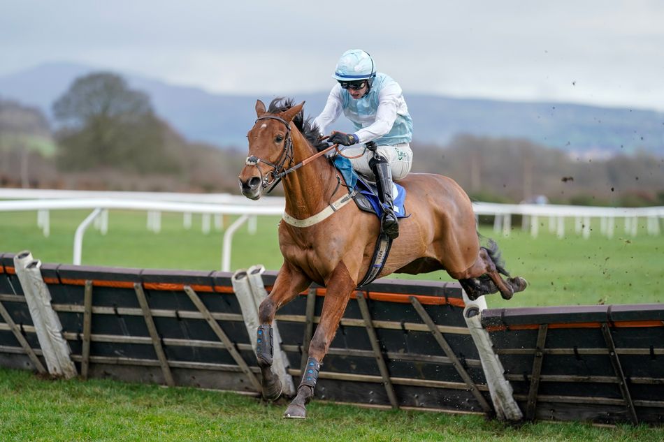 'I bought him to win the Triumph but the Fred Winter will do' - stand ...