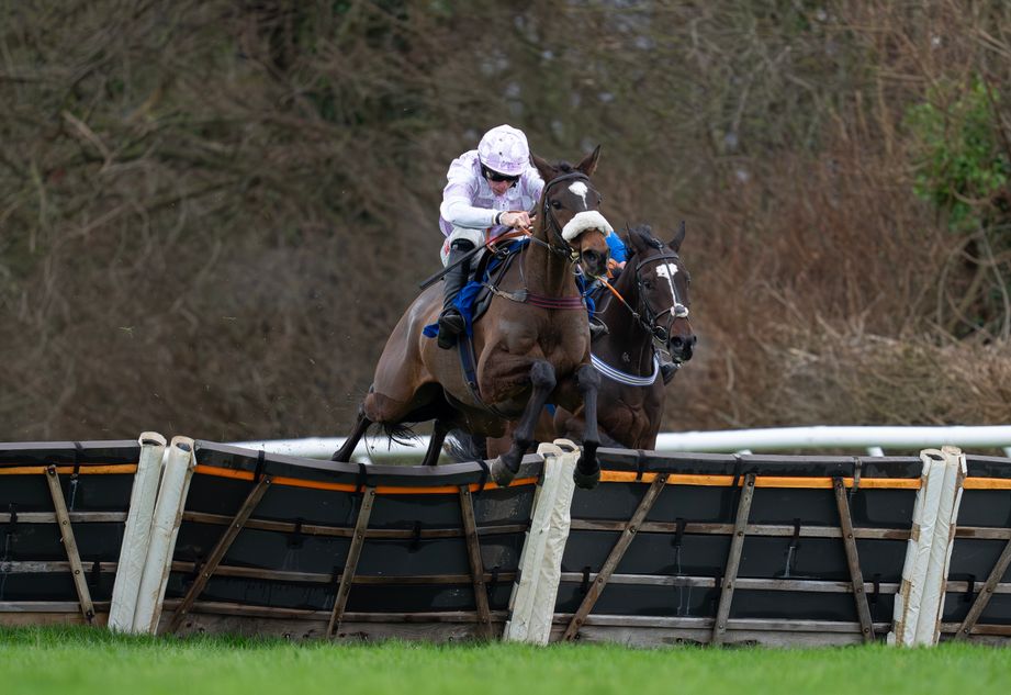 Skip French Racing A 'devastating' handicap winner who looks Graded class and two must ...