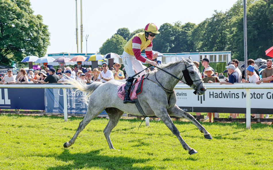 'He's a dude and a class ride' - amateur James Murray enjoys first winner on veteran Stratagem