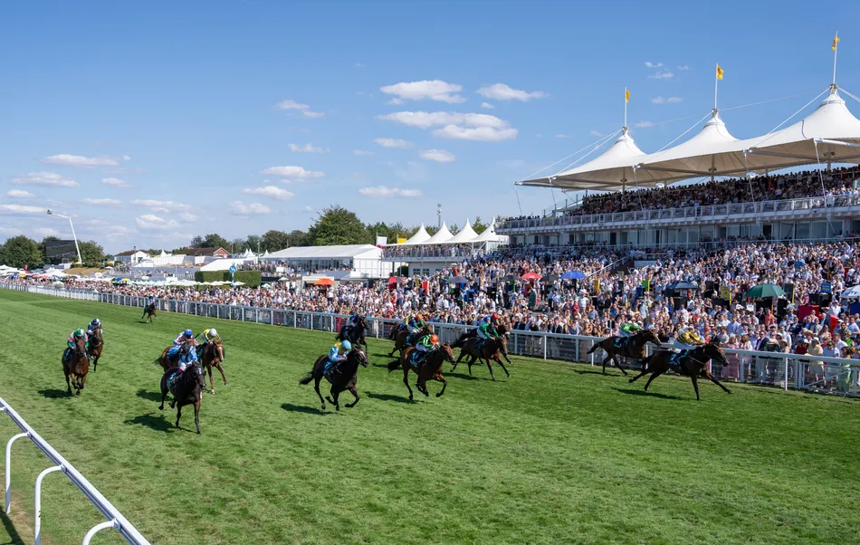 Ground may be quicker on far side but Goodwood clerk does not expect track bias in Stewards' Cup