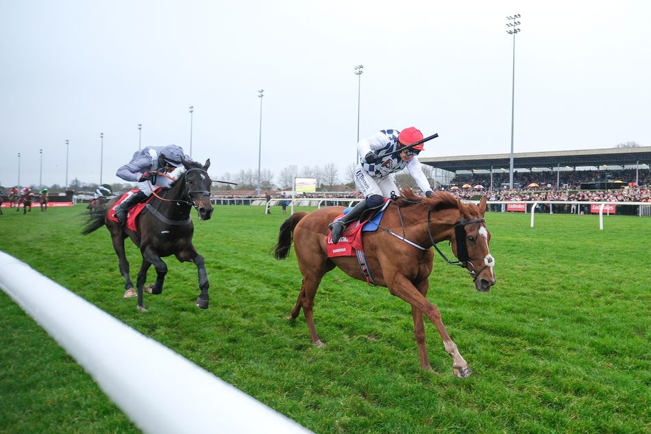 Harry George Racing 'He loves the track' - King George winner being lined up for surprise ...