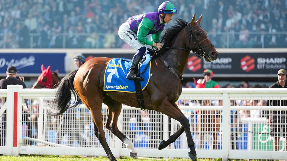 'He’ll go to the Melbourne Cup now' - British runner cut to 10-1 for ...
