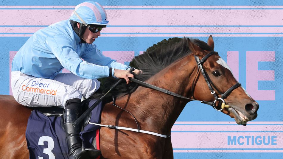 'I hope his mark is a nice one' - who fancies their Morebattle Hurdle ...