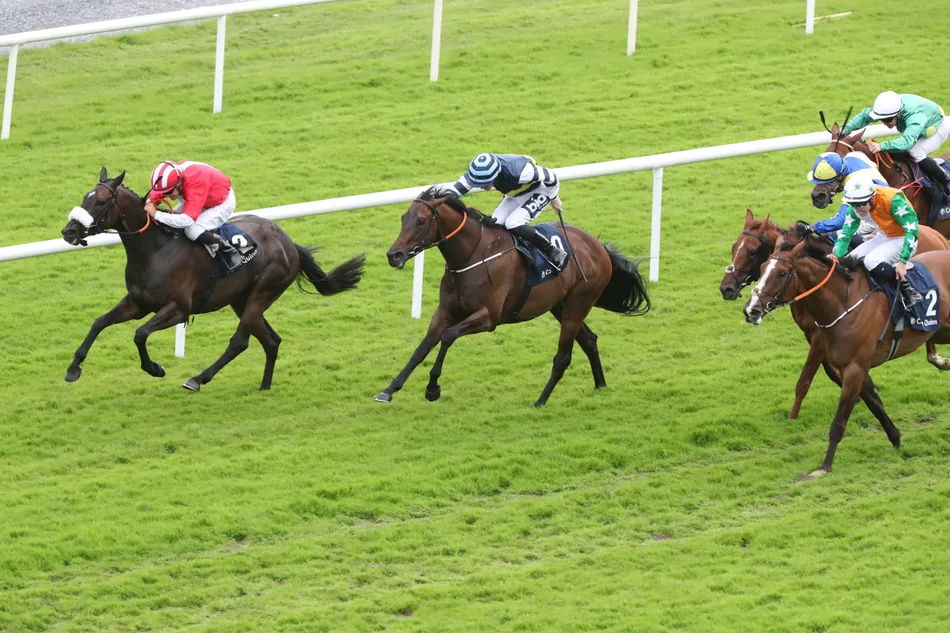 'Tony Martin is the man for the big occasion - but he doesn't tell you' - Galway maestro strikes again with Orandi