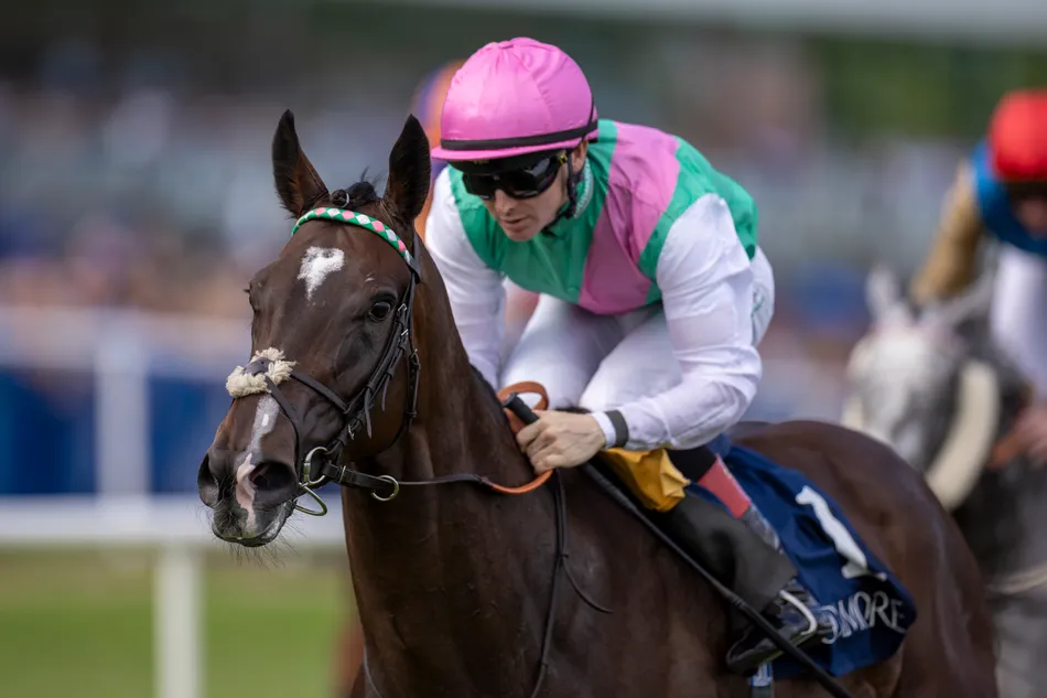 Juddmonte and Andrew Balding commit to Breeders' Cup target with star filly Blue Bolt