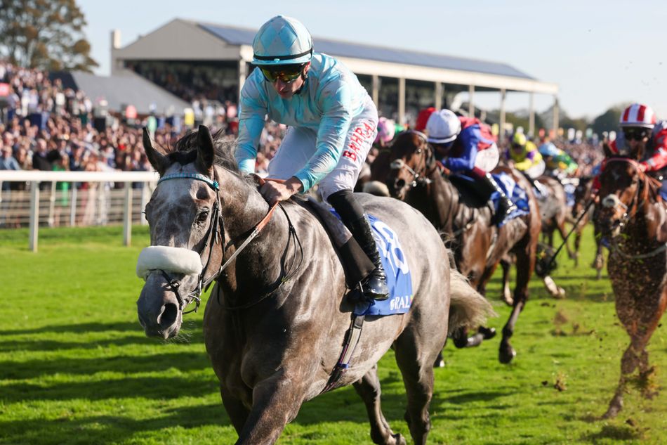 Ranking the Group 1 potential of the Hackwood field - including one close to being 'the biggest buzz horse in the division'