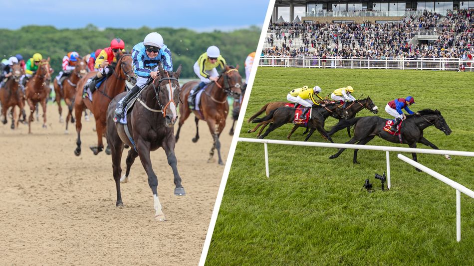 Bbc Racing Who will win the big races in Britain and Ireland this weekend based on ...
