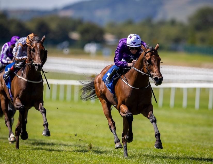York next for impressive Minstrel Stakes winner Power Blue after sealing Robson Aguiar double
