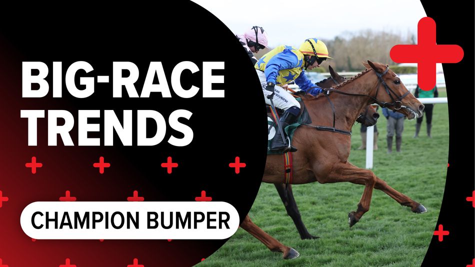 Big-race trends: key stats to help you find the winner of the Champion ...