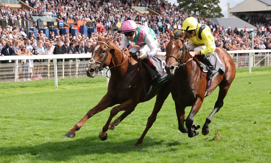'It was a five o'clock decision to get on the van' - Item overcomes foot scare and traffic trouble to down big guns in Juddmonte International