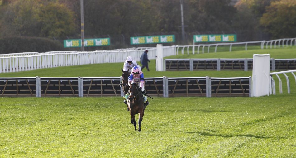 'She's a massive, massive price' - which dark horse has Dan Skelton ...