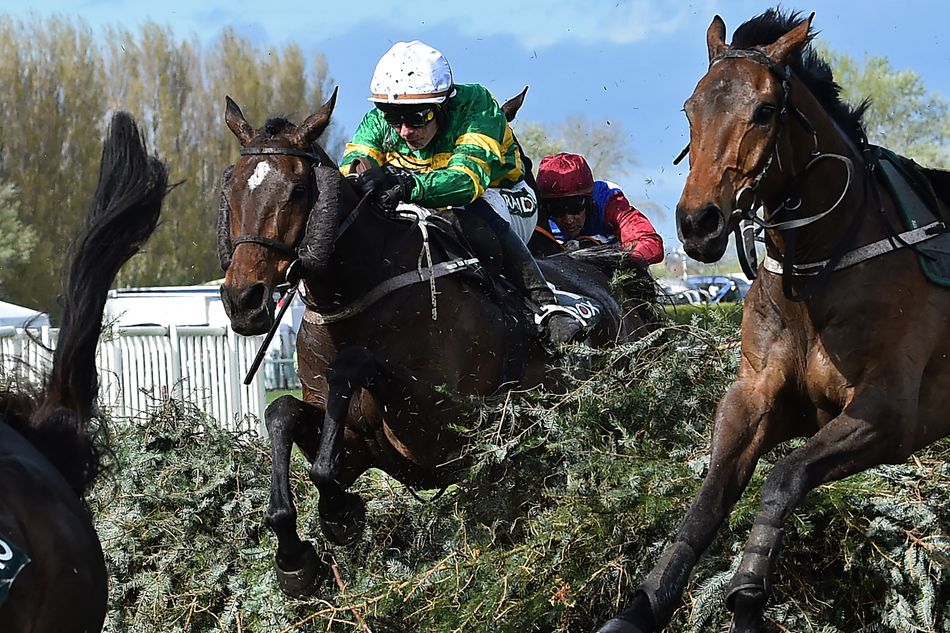 I Am Maximus 'perhaps the best National winner of them all' says BHA handicapper - and there's 'every chance' he can emulate Red Rum