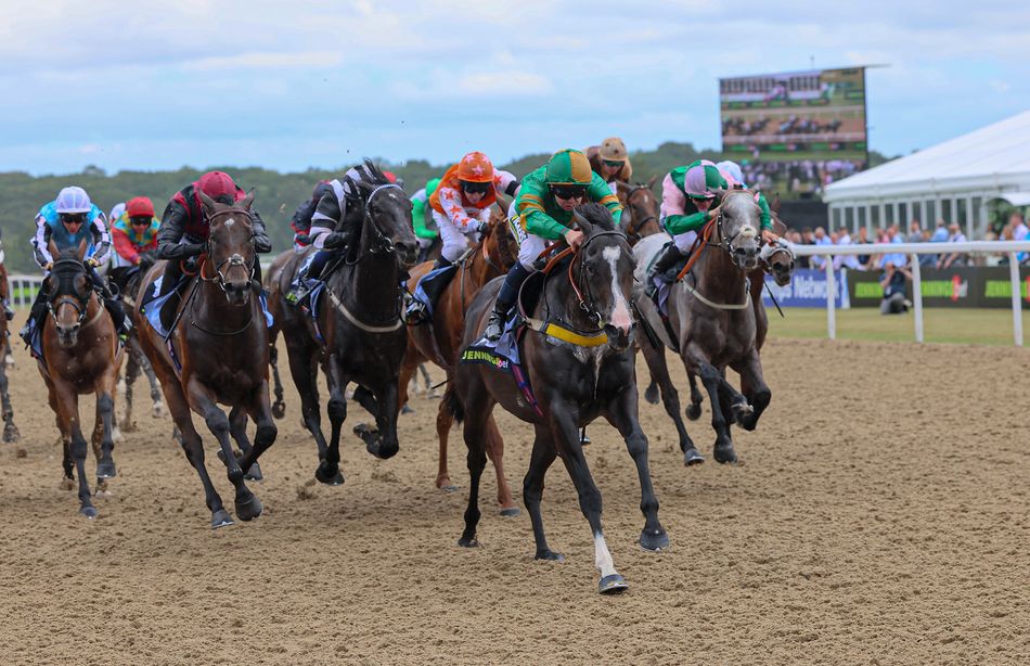 ビジネス・経済 HIT WIN VICTORY II OF HORSE RACE ビジネス・経済 HIT