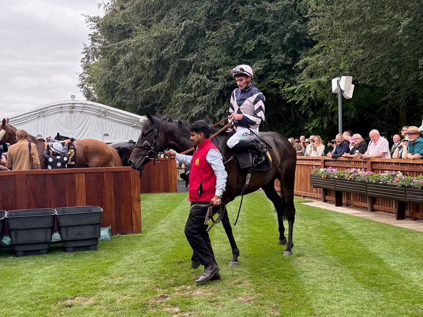 'They will be delighted with that' - front-running tactics do the trick as Brielle pulls off 33-1 surprise