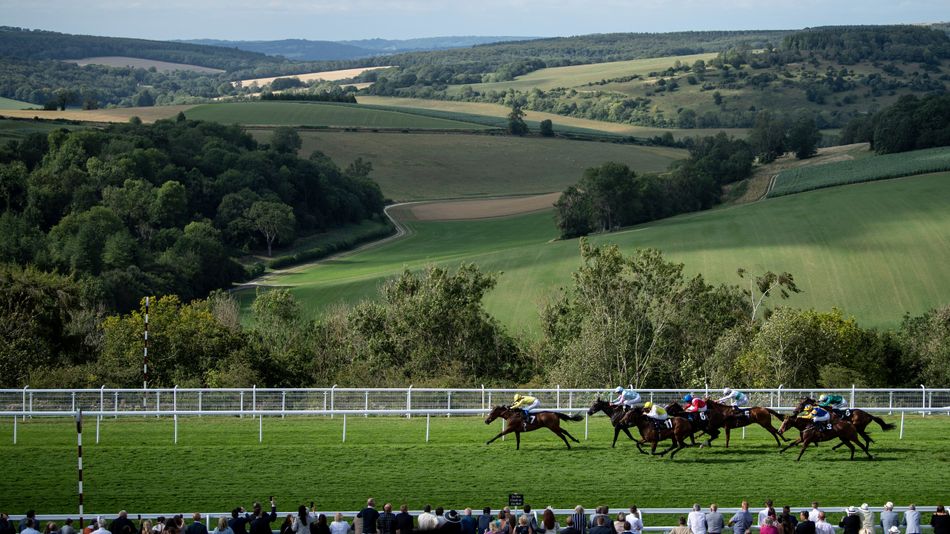 Racecourse Media Group defies challenges to deliver record £118.4 million to shareholder tracks