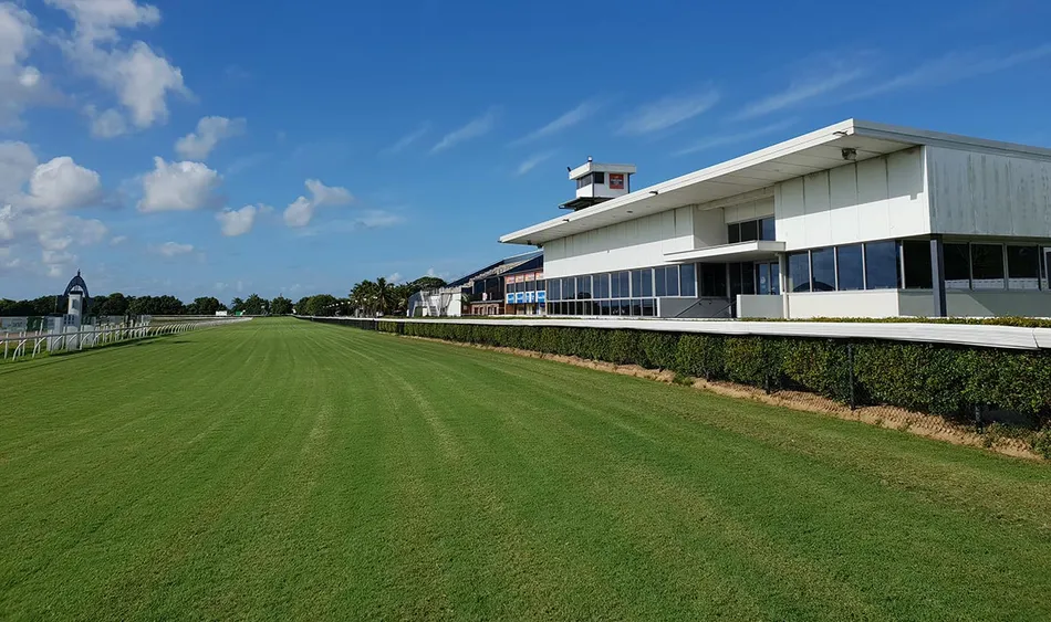 Trainer guaranteed a winner after declaring all 11 runners in the same ...