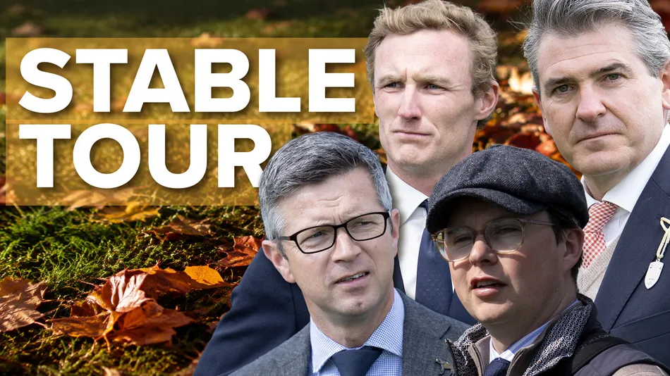 'He's at the peak of his powers and will be supplemented for the Irish Champion Stakes' - leading trainers on their big autumn hopes