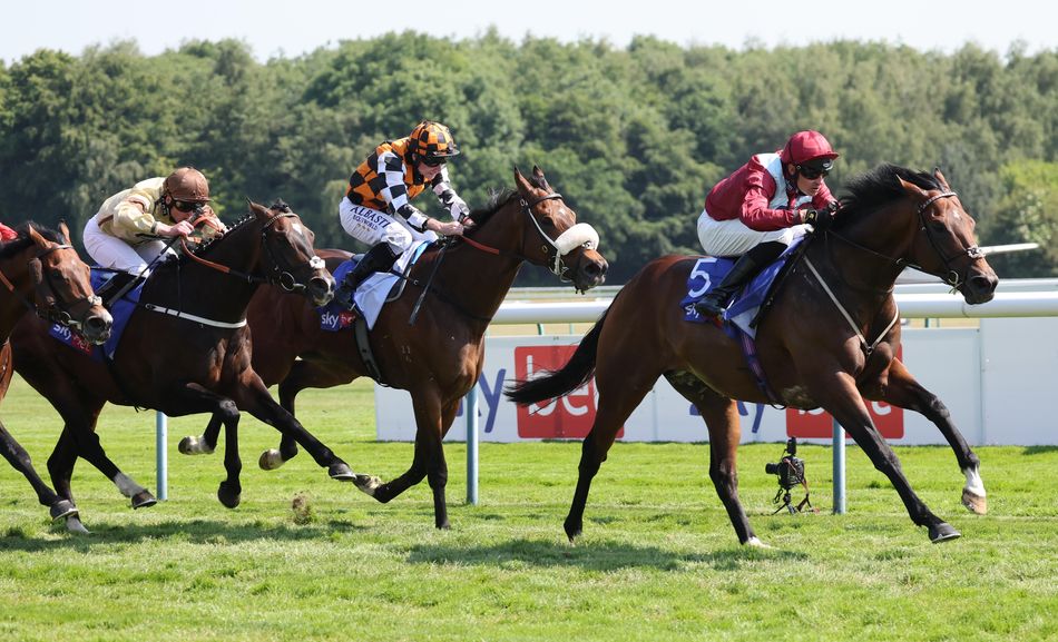 What was your biggest Royal Ascot pointer at Haydock or Beverley? Our ...